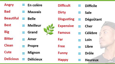 shades traduction|adjectif de blind.